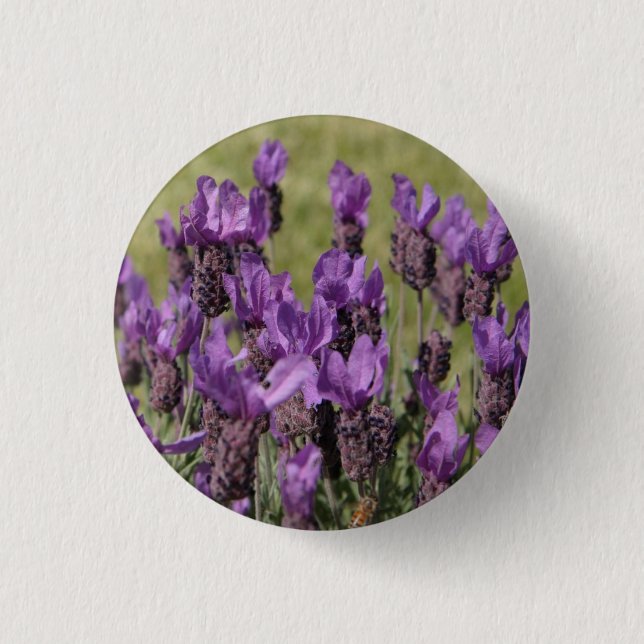 Chapa Redonda De 2,5 Cm Flores Lavender Meadow (Anverso)