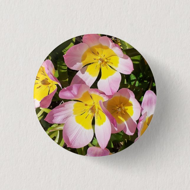 Chapa Redonda De 2,5 Cm Flores rosas y amarillas (Anverso)