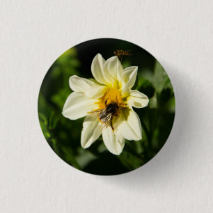 Chapa Redonda De 2,5 Cm Foto de abejorros y dahlia blanca