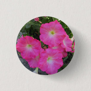 Chapa Redonda De 2,5 Cm Foto de la flor rosa de Petunia