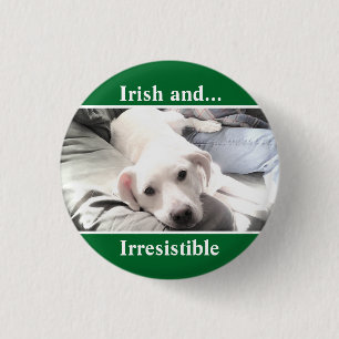 Chapa Redonda De 2,5 Cm Foto de la Mezcla Blanca de Labrador San Patricio