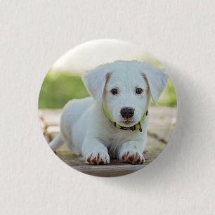 Chapa Redonda De 2,5 Cm Foto Mascota personalizada