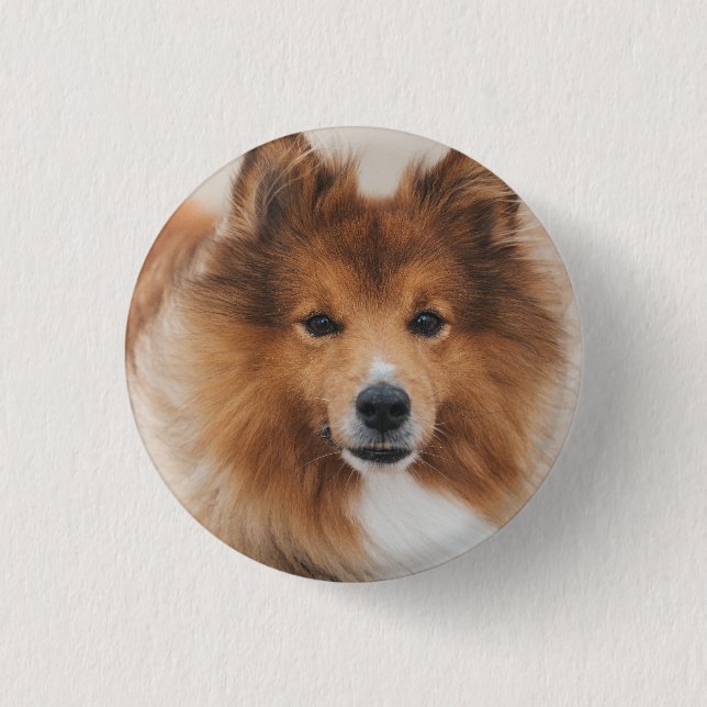Chapa Redonda De 2,5 Cm Foto Mascota personalizada de Dog Lover (Anverso)