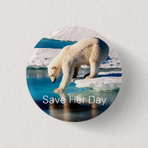 Foto: Oso Polar, azul, naturaleza de inspiración b