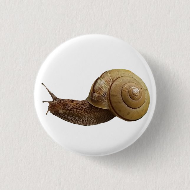 Chapa Redonda De 2,5 Cm foto real de caracol (Anverso)