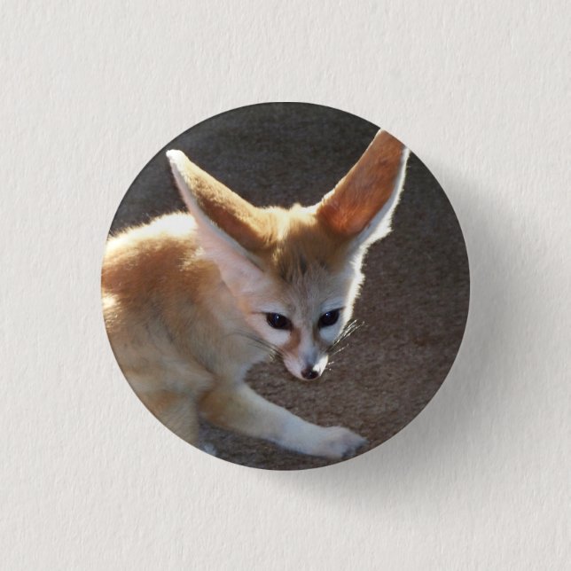 Chapa Redonda De 2,5 Cm Fox de Fennec (Anverso)