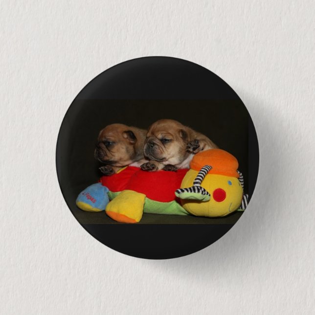 Chapa Redonda De 2,5 Cm Französische Bulldoggen Welpen Button (Anverso)