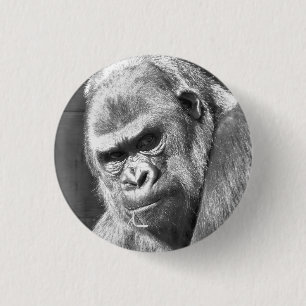CHAPA REDONDA DE 2,5 CM FUNNY GORILLA