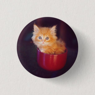 Chapa Redonda De 2,5 Cm Gatito anaranjado en una taza roja