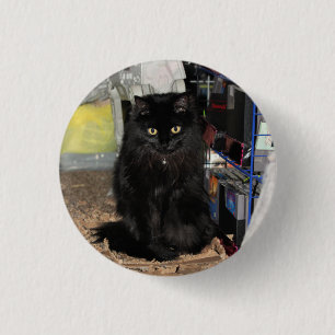 Chapa Redonda De 2,5 Cm Gato