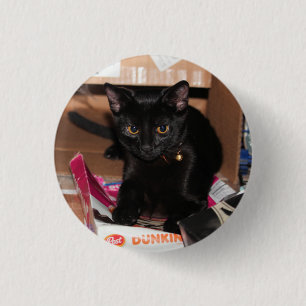Chapa Redonda De 2,5 Cm Gato
