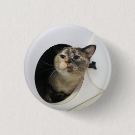 Chapa Redonda De 2,5 Cm Gato