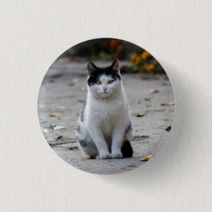 Chapa Redonda De 2,5 Cm Gato, blanco, Mascota