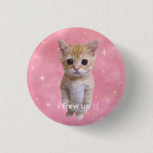 gato lindo meme divertido pin "yo me cague"