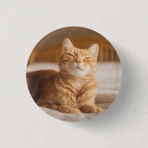 Chapa Redonda De 2,5 Cm Gato soñoliento de las imágenes el de Getty