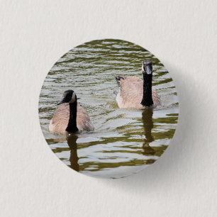 Chapa Redonda De 2,5 Cm Geese