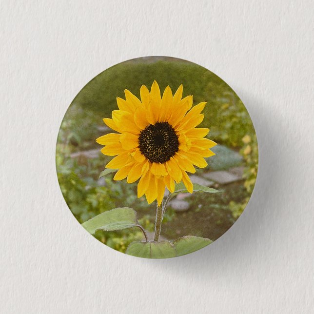 Chapa Redonda De 2,5 Cm Girasol (Anverso)
