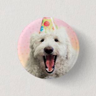 Chapa Redonda De 2,5 Cm Goldendoodle Con Gorra Fiesta