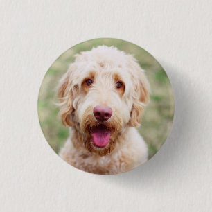 Chapa Redonda De 2,5 Cm Goldendoodle Smiling