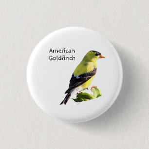 Chapa Redonda De 2,5 Cm Goldfinch americano
