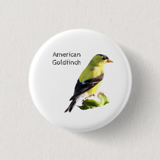 Chapa Redonda De 2,5 Cm Goldfinch americano
