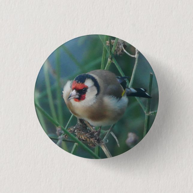 Chapa Redonda De 2,5 Cm Goldfinch Badge (Anverso)