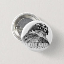 Goshawk septentrional