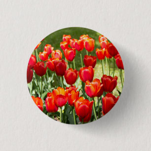 Chapa Redonda De 2,5 Cm Gran campo de tulipanes rojos