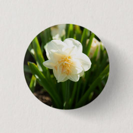 Chapa Redonda De 2,5 Cm Grandes narcisos blancos en un día de primavera  