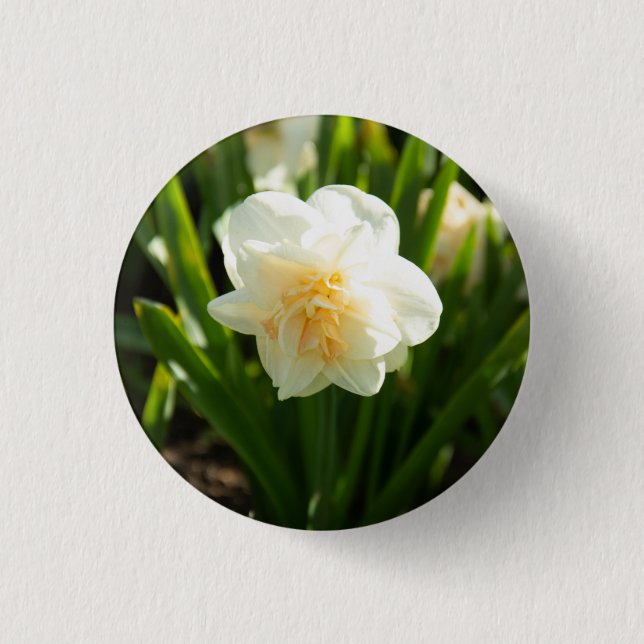 Chapa Redonda De 2,5 Cm Grandes narcisos blancos en un día de primavera   (Anverso)