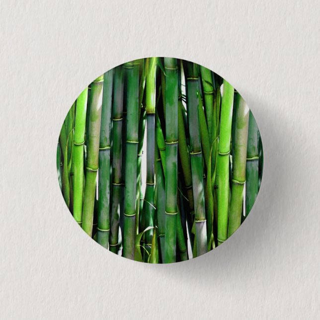 Chapa Redonda De 2,5 Cm Green Bamboo Stalks Nature Photography (Anverso)