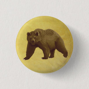 Chapa Redonda De 2,5 Cm Grizzly Bear