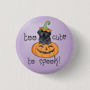 Chapa Redonda De 2,5 Cm Halloween Black Lab