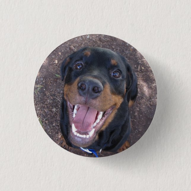 Chapa Redonda De 2,5 Cm Heidi Happy Rottweiler Button (Anverso)