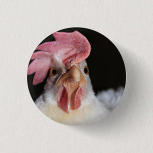 Chapa Redonda De 2,5 Cm Hen