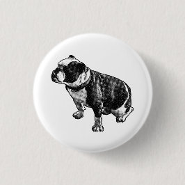 Chapa Redonda De 2,5 Cm Here and Steady