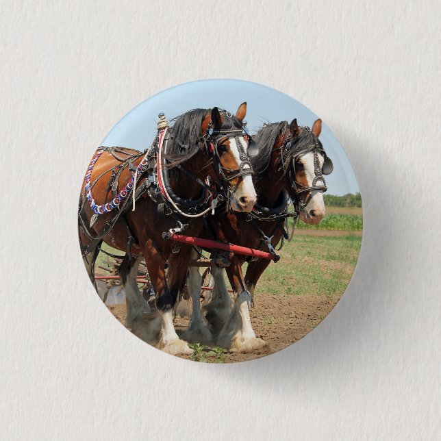 Chapa Redonda De 2,5 Cm Horse Clydesdale Farming Photo (Anverso)