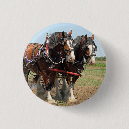 Chapa Redonda De 2,5 Cm Horse Clydesdale Farming Photo