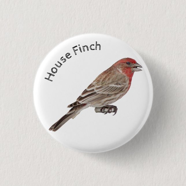 Chapa Redonda De 2,5 Cm House Finch (Anverso)
