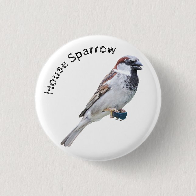Chapa Redonda De 2,5 Cm House Sparrow (Anverso)