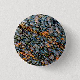 Chapa Redonda De 2,5 Cm Hueso de dinosaurio Petrificado