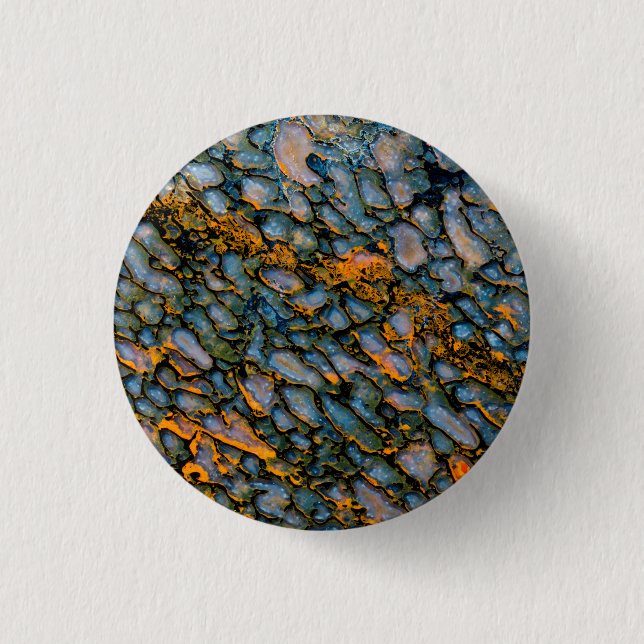 Chapa Redonda De 2,5 Cm Hueso de dinosaurio Petrificado (Anverso)