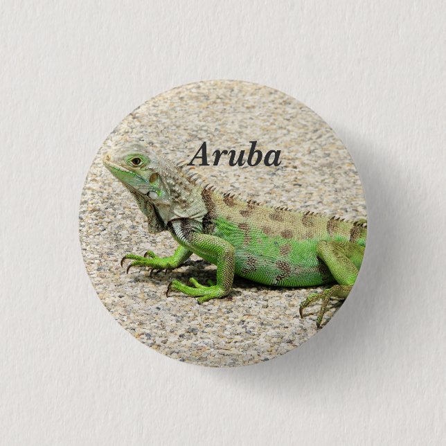 Chapa Redonda De 2,5 Cm Iguana verde de Aruba (Anverso)