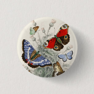 Chapa Redonda De 2,5 Cm Ilustración científica botánica de mariposa vintag
