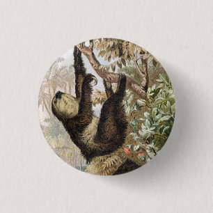 Chapa Redonda De 2,5 Cm Ilustración de libro de perezoso de dos dedos vint