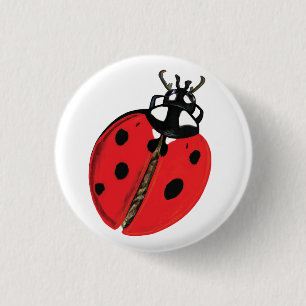 Chapa Redonda De 2,5 Cm Ilustracion Lady Bug