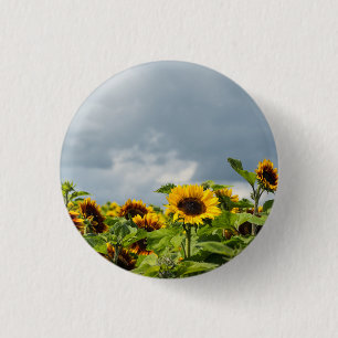 Chapa Redonda De 2,5 Cm Imán de campo de girasol