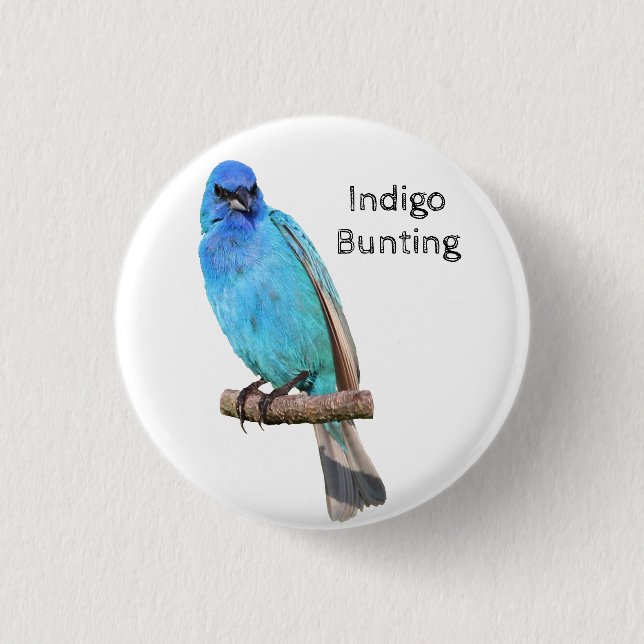 Chapa Redonda De 2,5 Cm Indigo Bunting (Anverso)