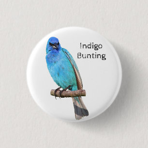 Chapa Redonda De 2,5 Cm Indigo Bunting