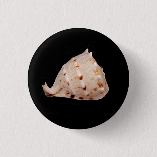 Chapa Redonda De 2,5 Cm Insignia Conch Shell (Anverso)